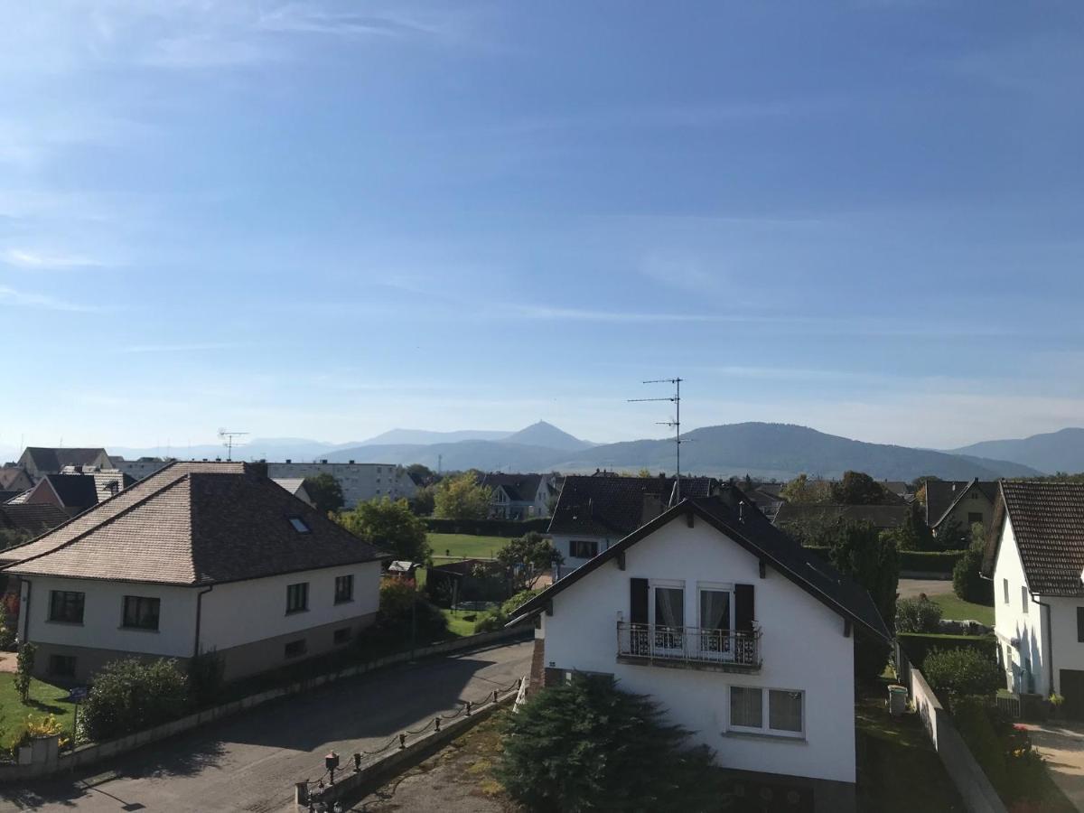 Appartement Chaleureux Et Lumineux Avec Vue ! Au Centre Alsace Sélestat Buitenkant foto