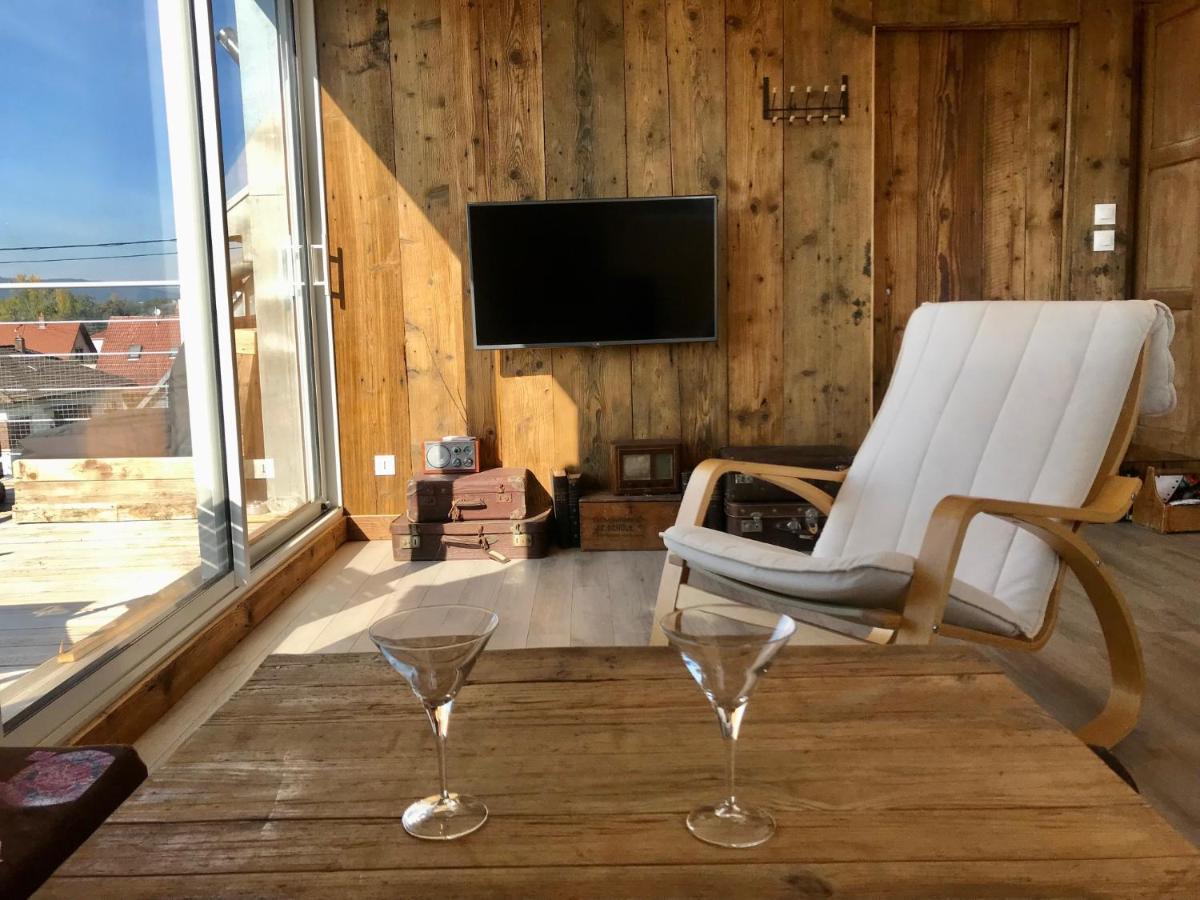 Appartement Chaleureux Et Lumineux Avec Vue ! Au Centre Alsace Sélestat Buitenkant foto