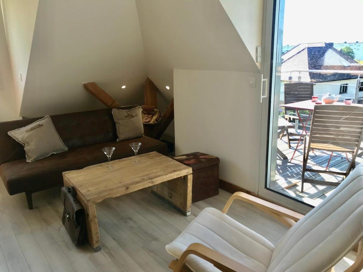 Appartement Chaleureux Et Lumineux Avec Vue ! Au Centre Alsace Sélestat Buitenkant foto
