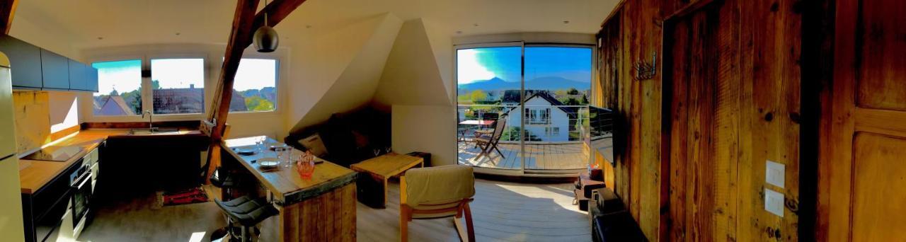 Appartement Chaleureux Et Lumineux Avec Vue ! Au Centre Alsace Sélestat Buitenkant foto