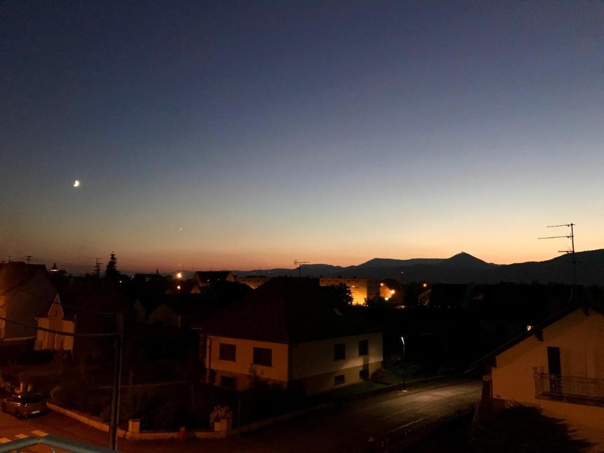 Appartement Chaleureux Et Lumineux Avec Vue ! Au Centre Alsace Sélestat Buitenkant foto